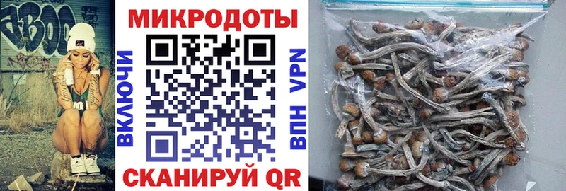 Галлюциногенные грибы MAGIC MUSHROOMS  Купить закладки  Гагарин 