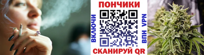 Купить закладки  Гагарин  Бошки марихуана сатива 